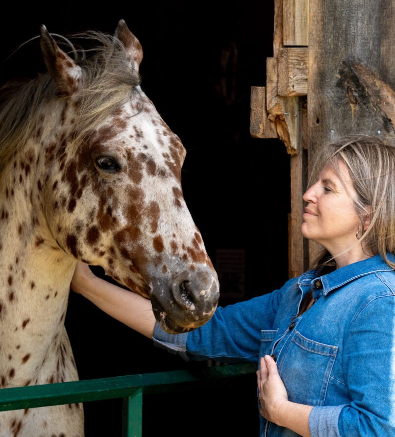 Equine renewal