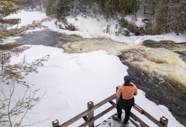 Balade immersive sur le trottoir de bois