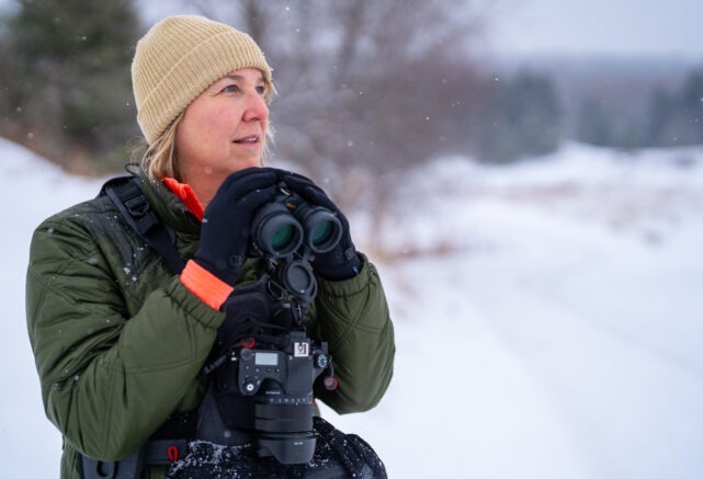 Observation de la faune